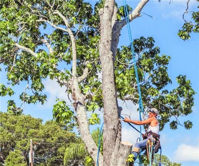 里番无码动漫在线观看海报