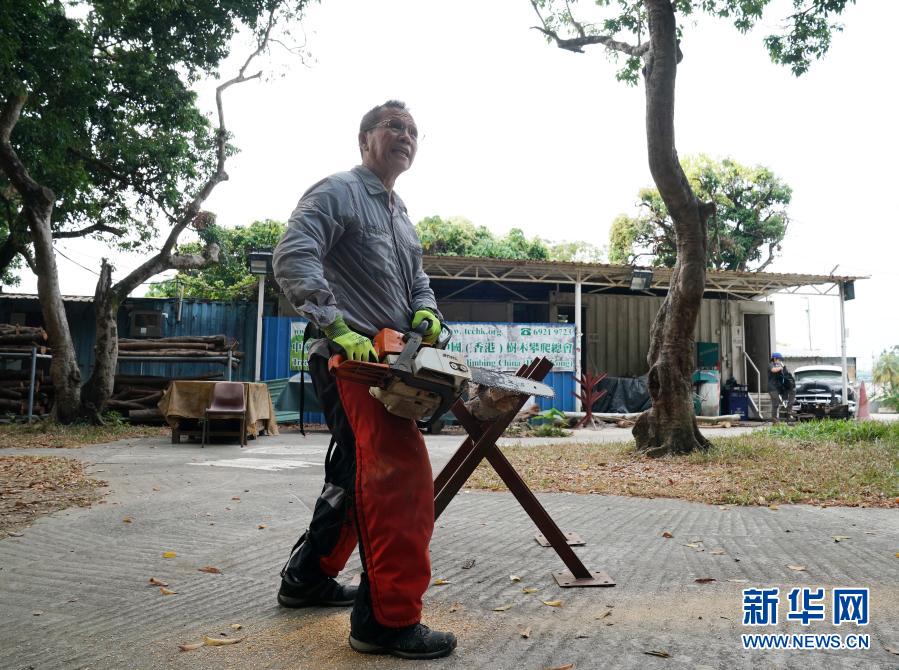 线上看番 已在黑暗中孤独跋涉了多年海报