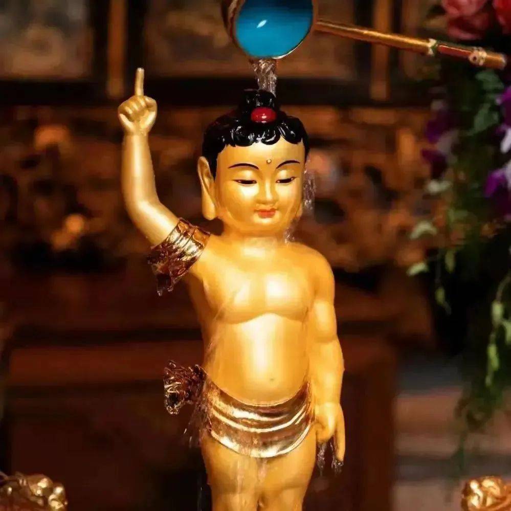 啄木鸟d3fzqoxno6海报