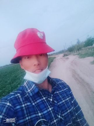 麻豆视频在线观看