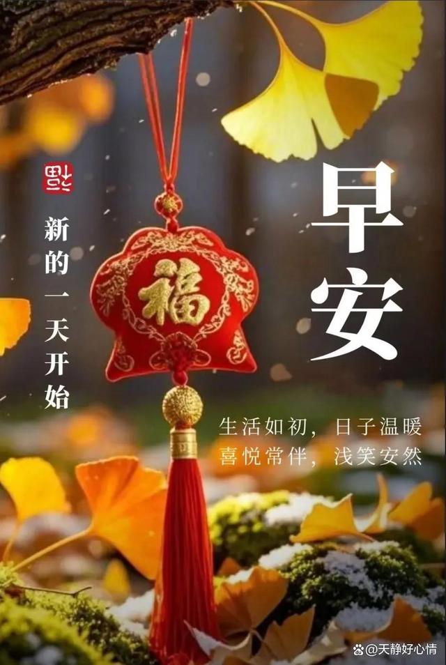 动漫3d区网站入口 笨拙却诚恳的网站造梦车间