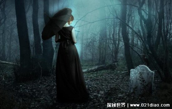 久久精品亚洲AV无码一区二区三区 海报