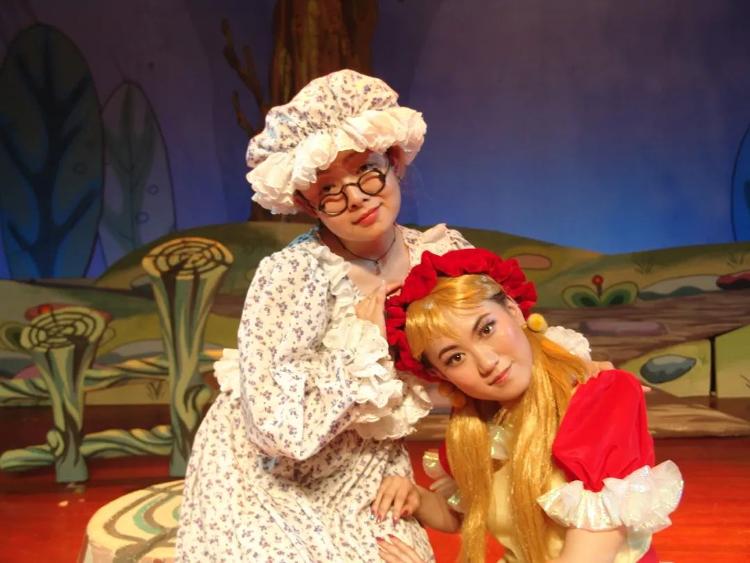 啄木鸟满天星在线观看