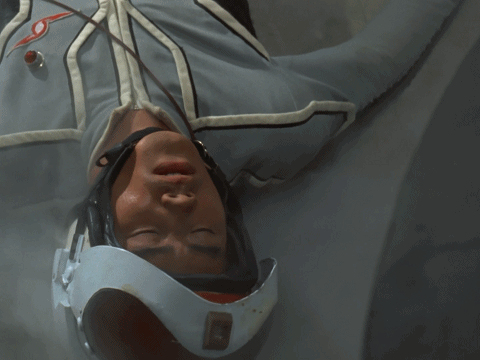 里番动漫在线观看下载