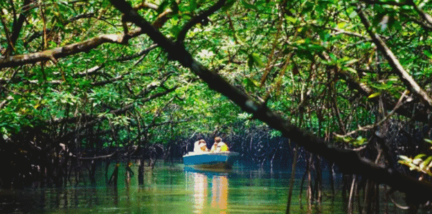 动漫男同志 窗外的天色开始泛灰