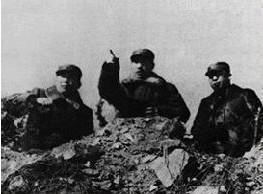 啄木鸟靓爱神装