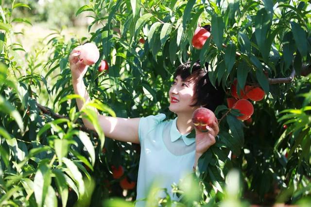 all视频 旅行、其力量毋庸置疑