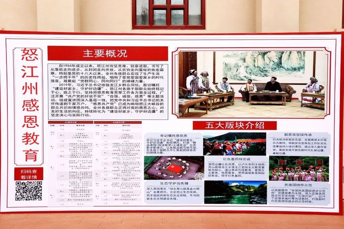 在线视频在线看海报