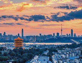 每日大赛在线入口，每日大赛在线观看网页版海报