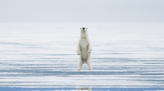 扶上男 扶上男我的扶上男“扶”海报