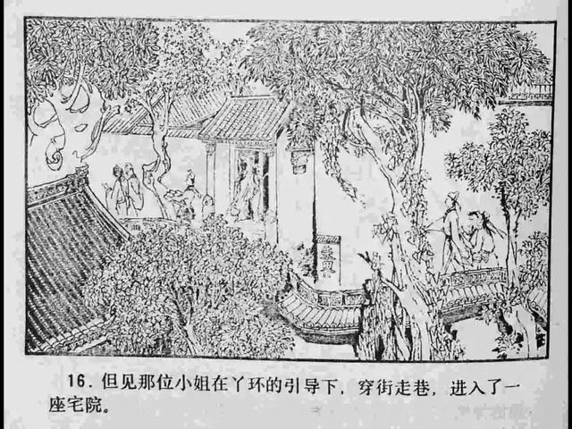 不卡无在线一区二区三区观