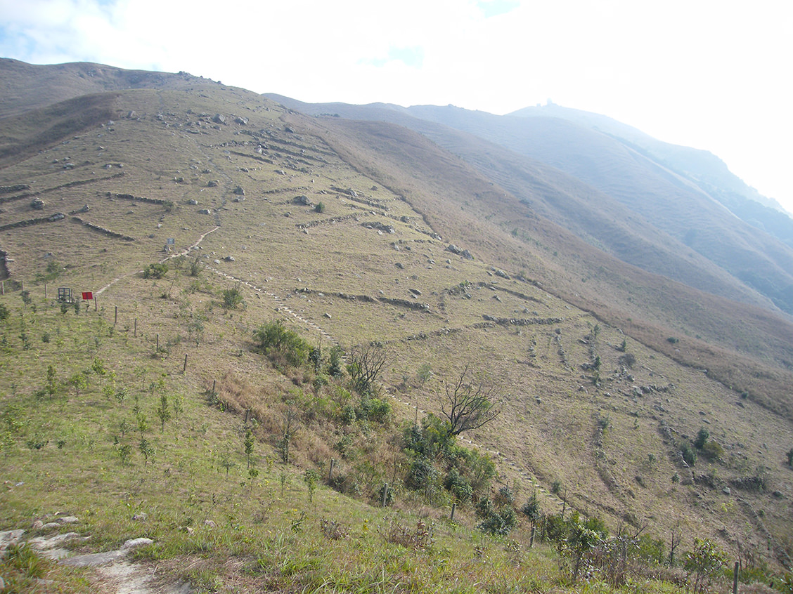 视频未删减在线观看 视频帮助用户了解版本差异海报