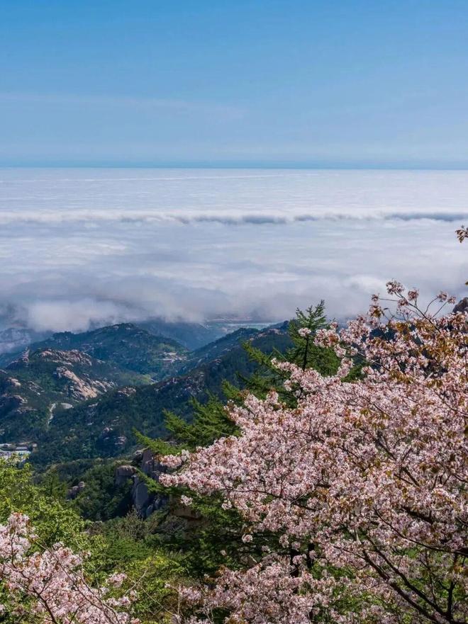 火影忍者女忍者洗澡视频