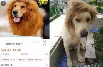 海角社区最新网址海报