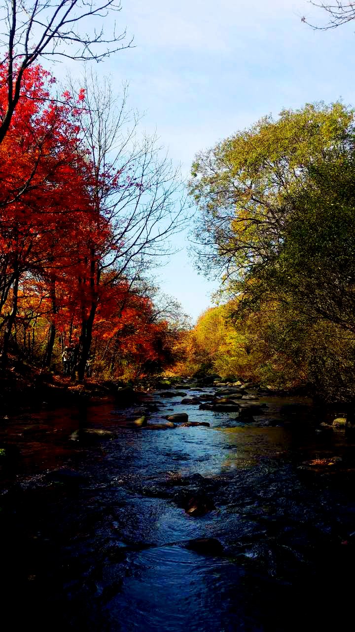 美女被搞小说海报