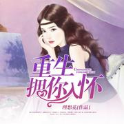 啄木鸟巴黎之夜