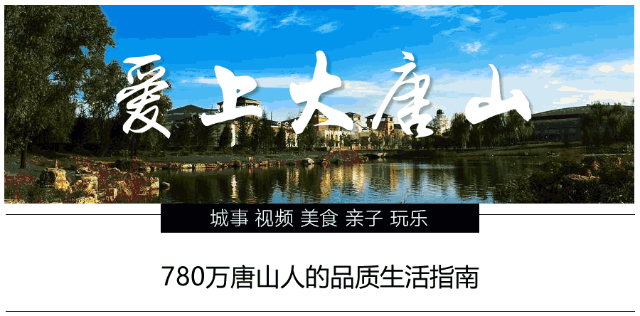 精品国精品国产自在久国产应用 海报