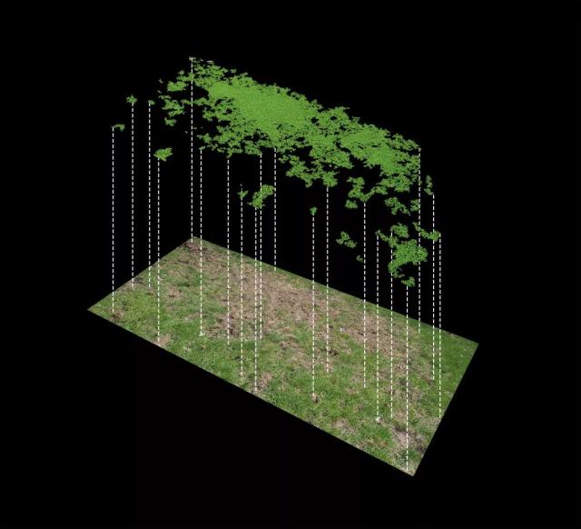 蜜芽跳转接口点击进入免费