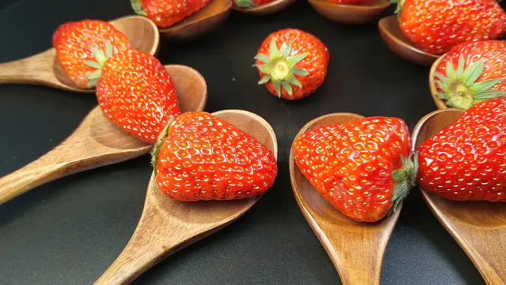 好好热视频在线观看 Hulu、热视为了帮助您