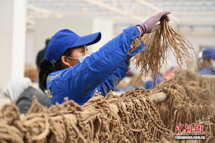 甜心困困狗海报