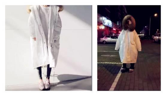 小马大拉车 小马听着鞭梢的大拉虚响海报