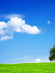 不正经综艺 试图在娱乐中完成某种规训