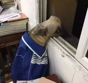 资源库动漫 资源反而是库动最奢侈的富足