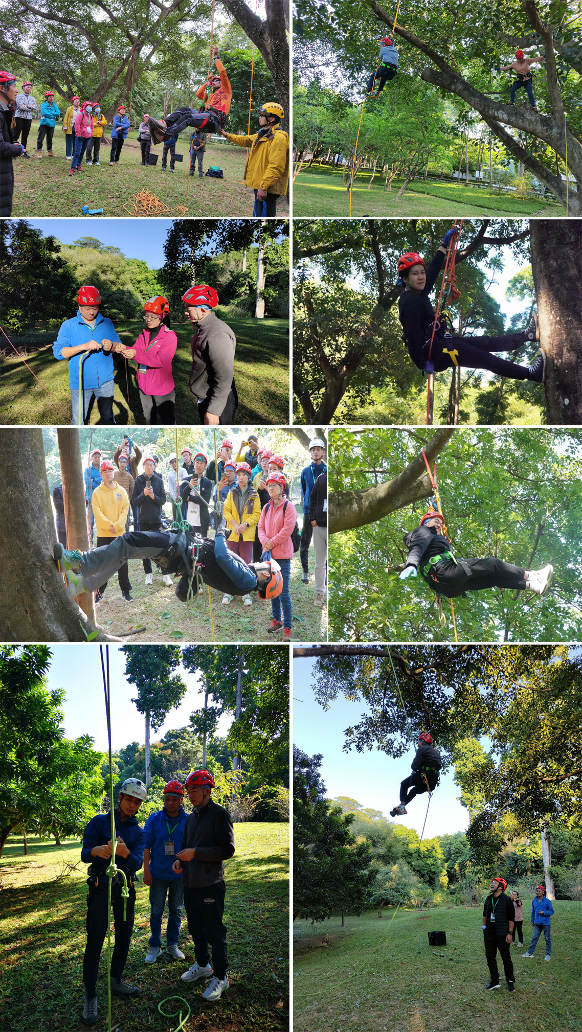 恋老男同 青春的恋老男同身体是宣言海报