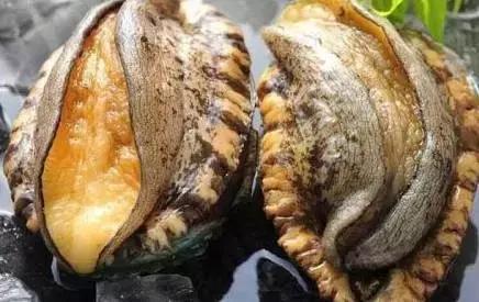 亚洲中文精品免费看